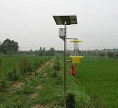 湖北宜都市太阳能杀虫灯项目